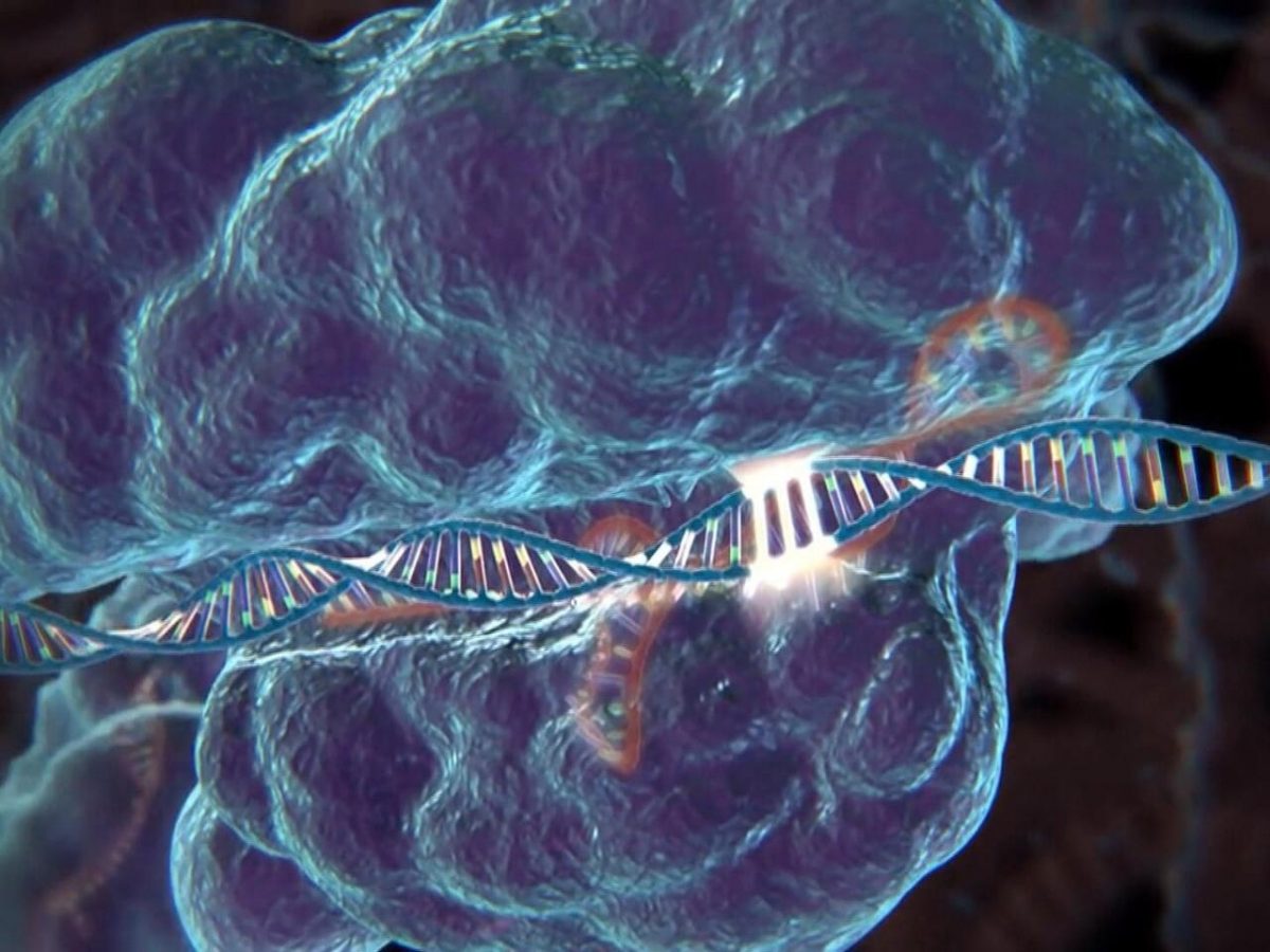 Bioterrorisme