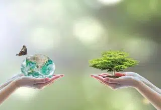 Formation en environnement pour exercer quel métier