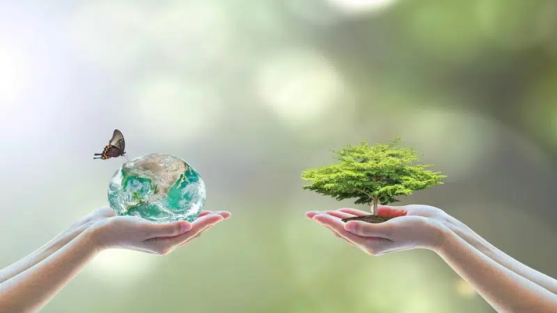Formation en environnement pour exercer quel métier