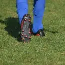 Comment reconnaître un bon crampon de football ?