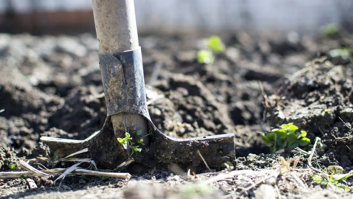 en environnement pour exercer quel métier