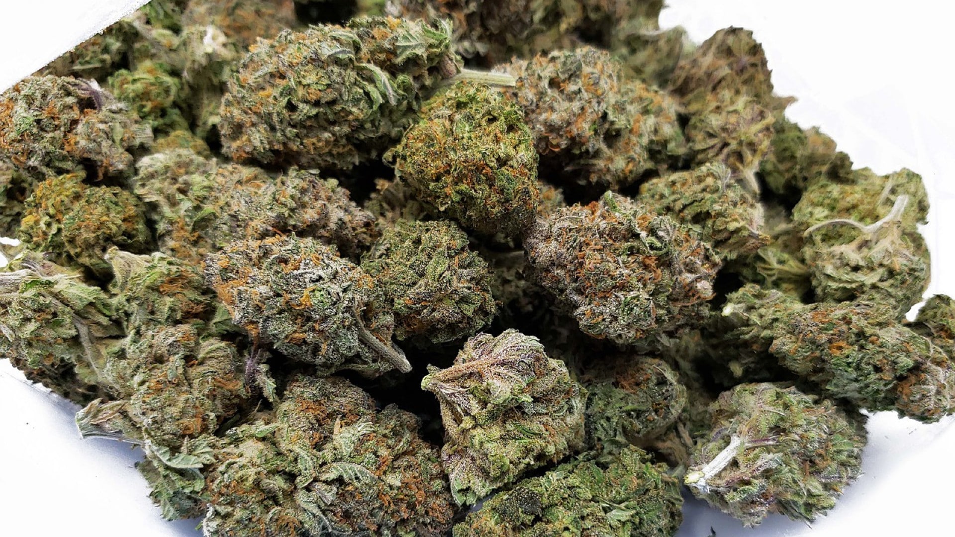 Le matériel pour la culture en intérieur