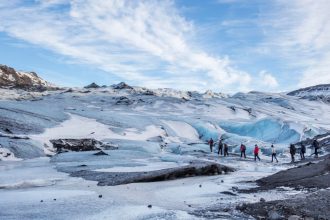 Sensations uniques lors d’un safari marin sur une croisière en Antarctique !