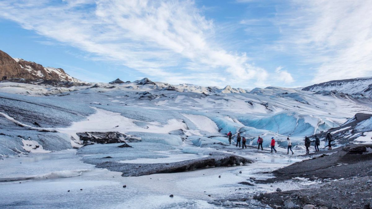 Sensations uniques lors d’un safari marin sur une croisière en Antarctique !